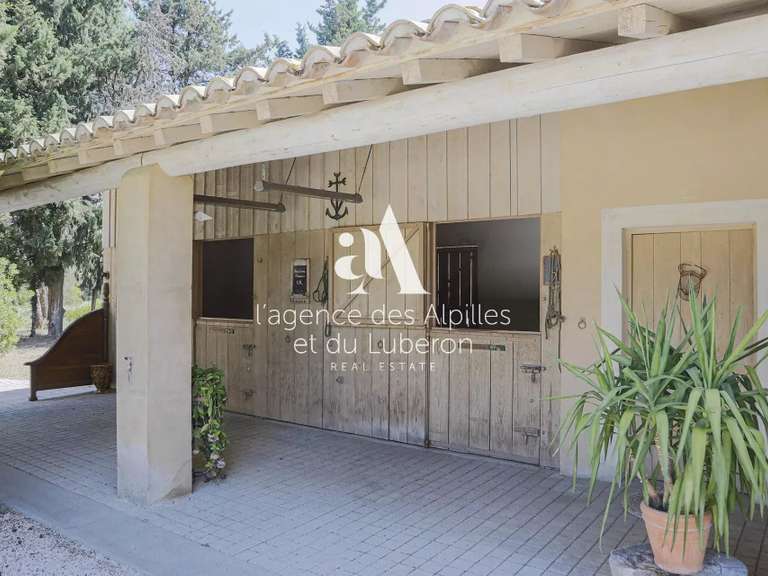 House Saint-Rémy-de-Provence - 7 bedrooms - 485m²