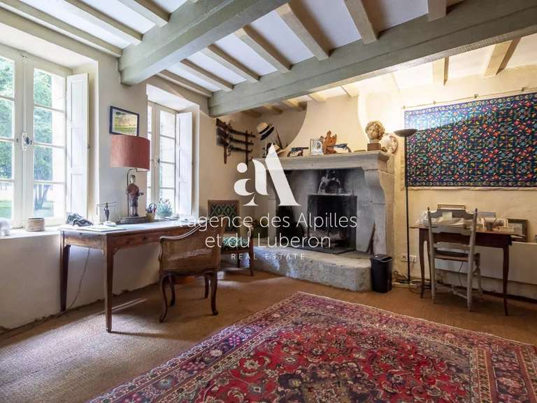 House Saint-Rémy-de-Provence - 7 bedrooms - 485m²