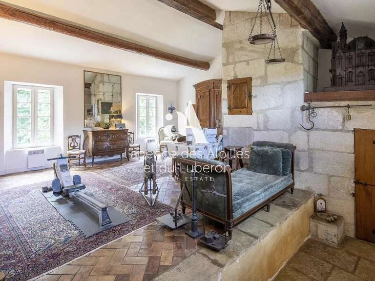 House Saint-Rémy-de-Provence - 7 bedrooms - 485m²
