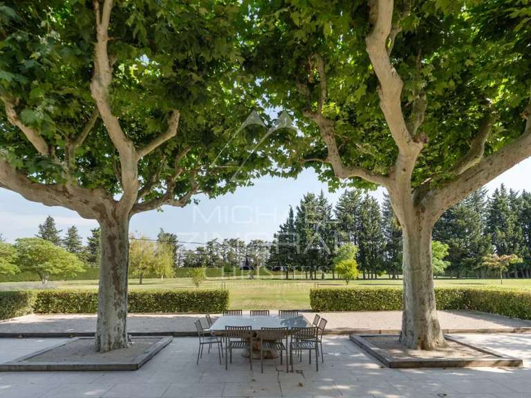 House Saint-Rémy-de-Provence - 6 bedrooms - 320m²