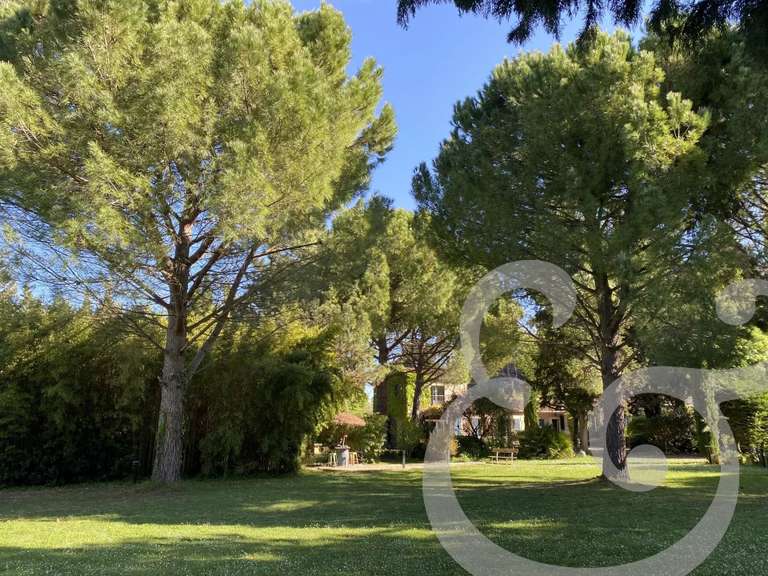 Maison Saint-Rémy-de-Provence - 3 chambres - 260m²