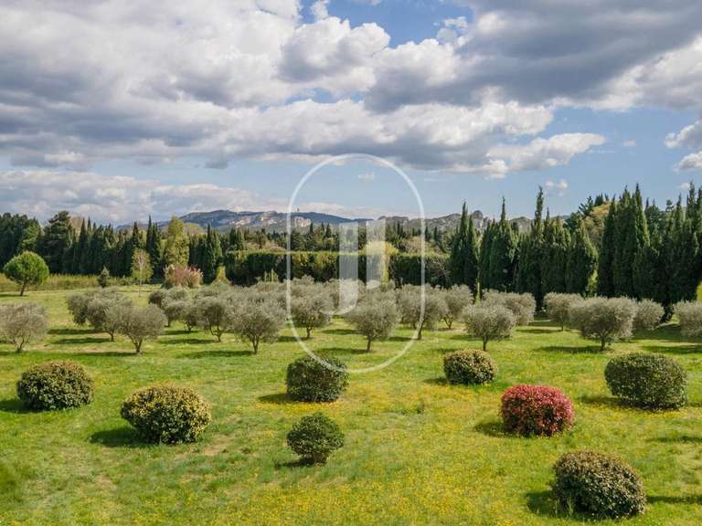 Maison Saint-Rémy-de-Provence - 4 chambres - 275m²