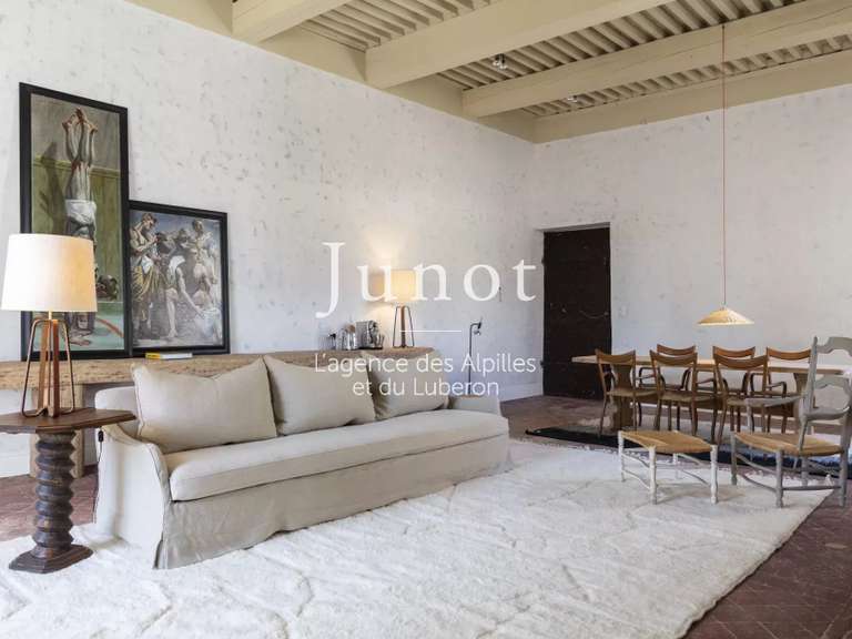 Maison Saint-Rémy-de-Provence - 11 chambres - 1100m²