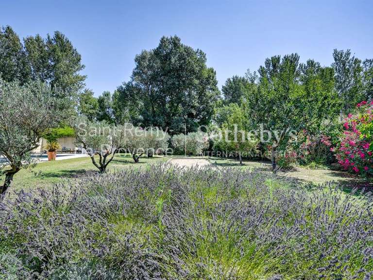 Maison Saint-Rémy-de-Provence - 4 chambres - 268m²