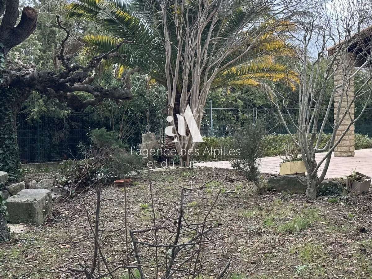 House Saint-Rémy-de-Provence