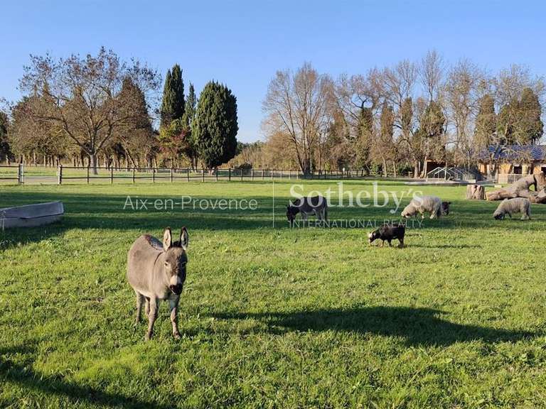 Maison Saint-Rémy-de-Provence - 11 chambres - 1200m²