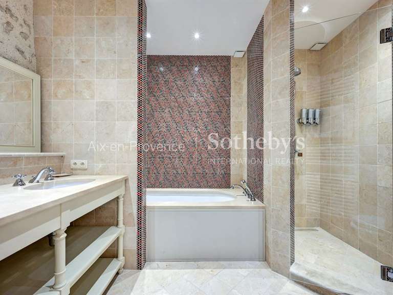 Maison Saint-Rémy-de-Provence - 5 chambres - 343m²