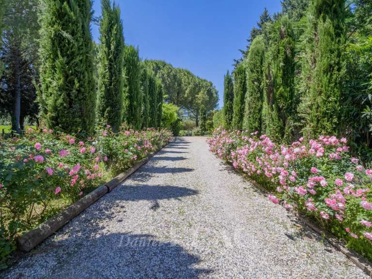House Saint-Rémy-de-Provence - 6 bedrooms - 280m²