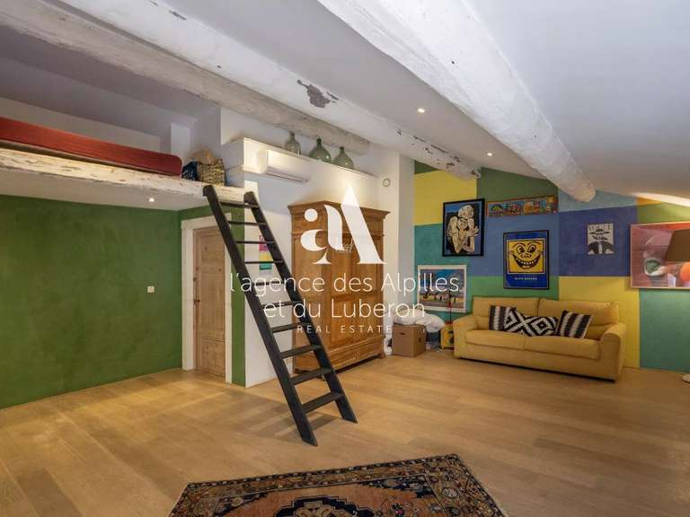 Maison Saint-Rémy-de-Provence - 4 chambres - 410m²