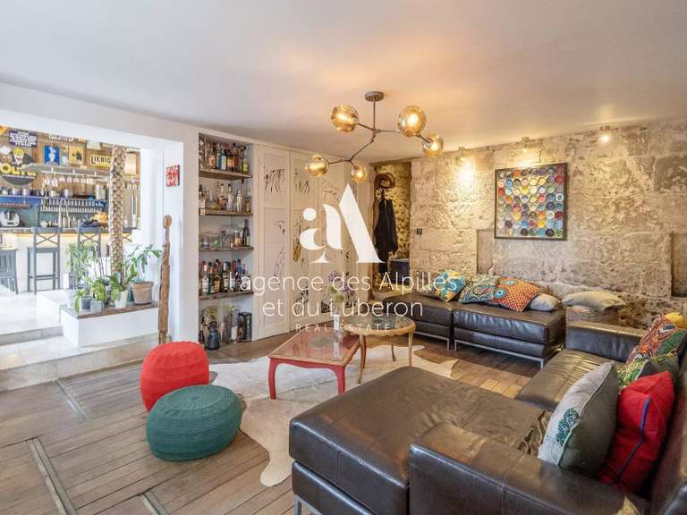 Maison Saint-Rémy-de-Provence - 4 chambres - 410m²