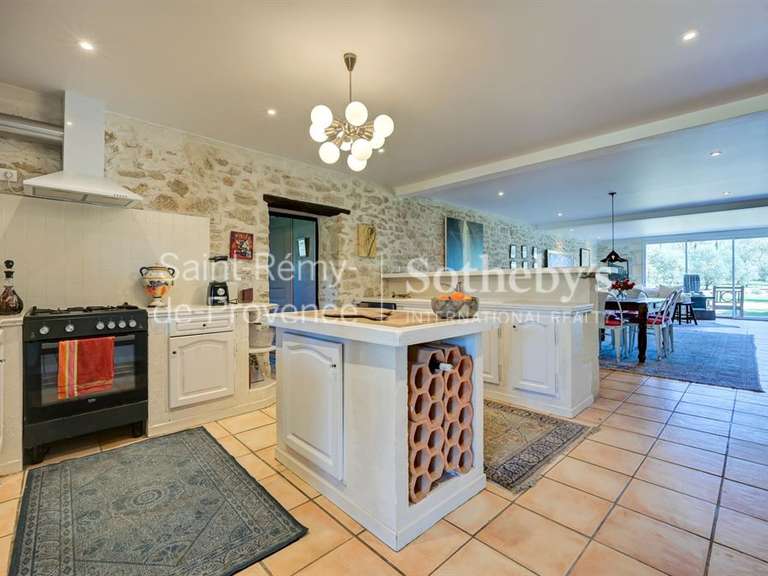 Maison Saint-Rémy-de-Provence - 4 chambres - 283m²