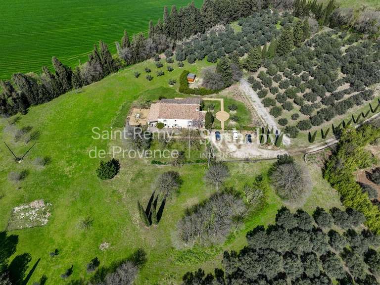 Maison Saint-Rémy-de-Provence - 4 chambres - 283m²