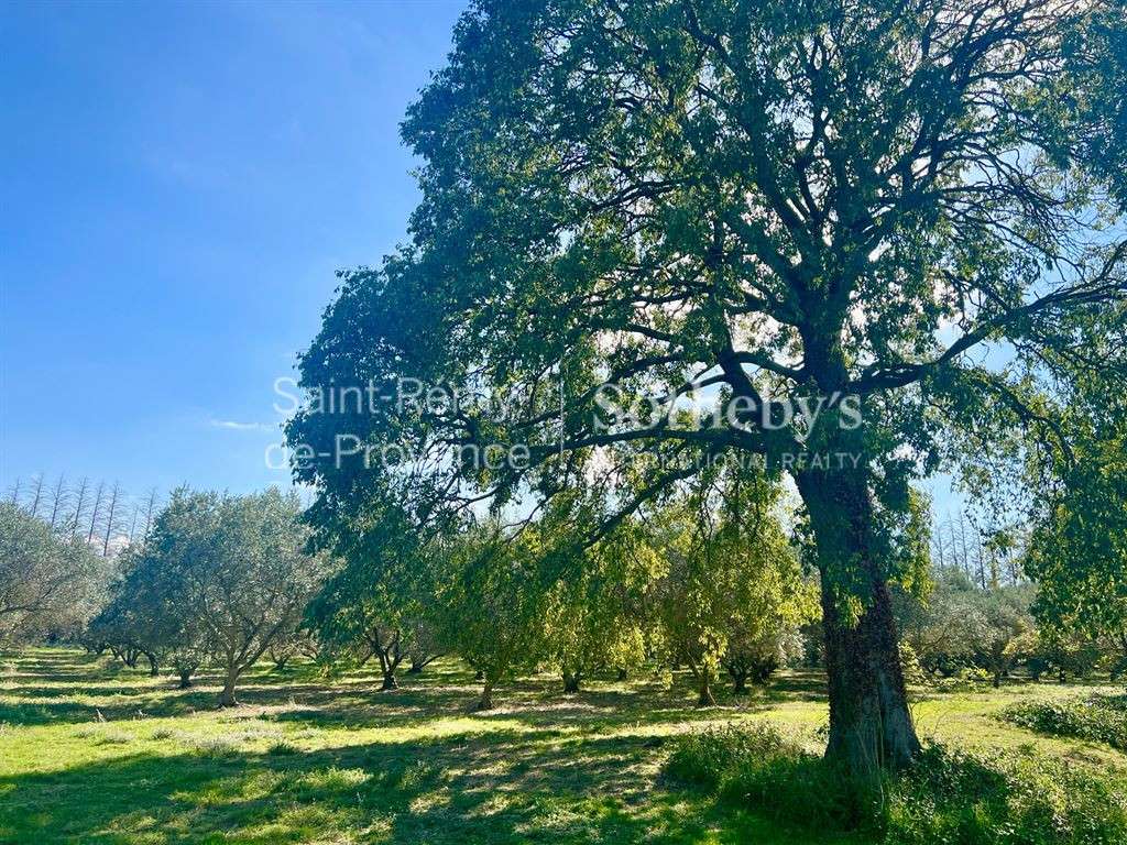 Maison Saint-Rémy-de-Provence