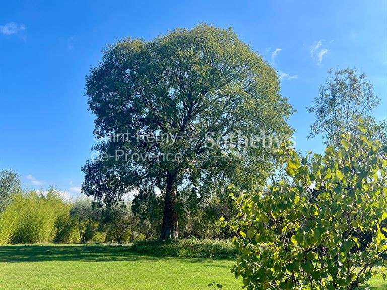 Maison Saint-Rémy-de-Provence - 4 chambres - 262m²