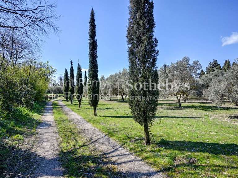 Maison Saint-Rémy-de-Provence - 4 chambres - 283m²