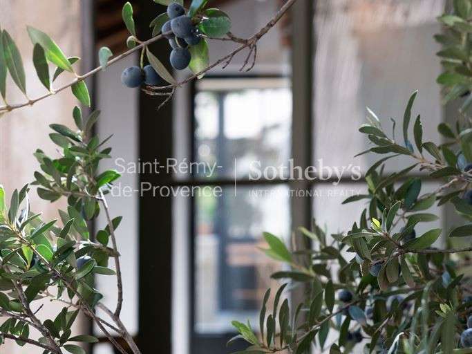 Maison Saint-Rémy-de-Provence - 3 chambres - 145m²