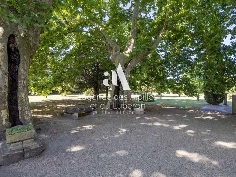 Maison Saint-Rémy-de-Provence - 10 chambres - 1184m²