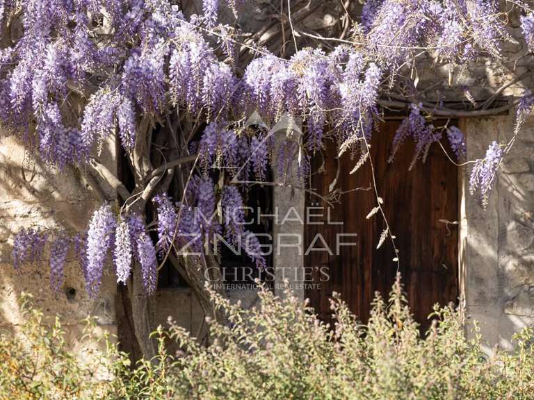 House Saint-Rémy-de-Provence - 4 bedrooms - 283m²