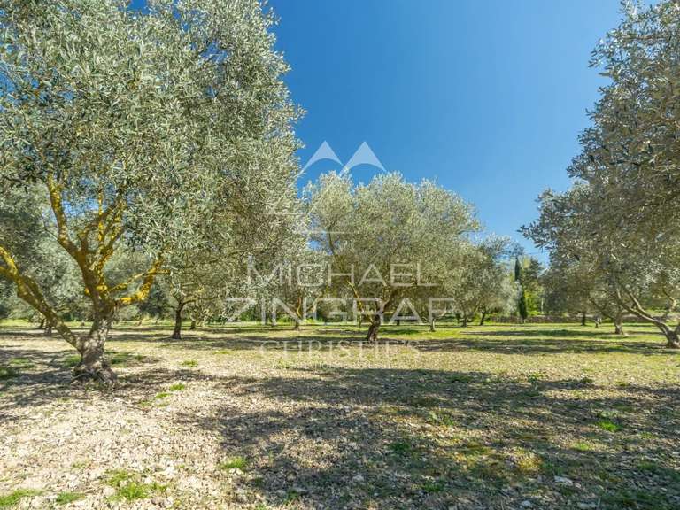 House Saint-Rémy-de-Provence - 4 bedrooms - 283m²