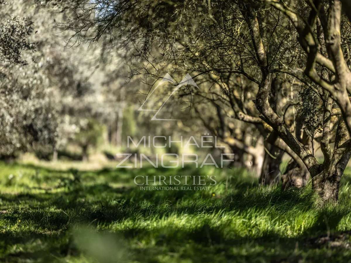 House Saint-Rémy-de-Provence