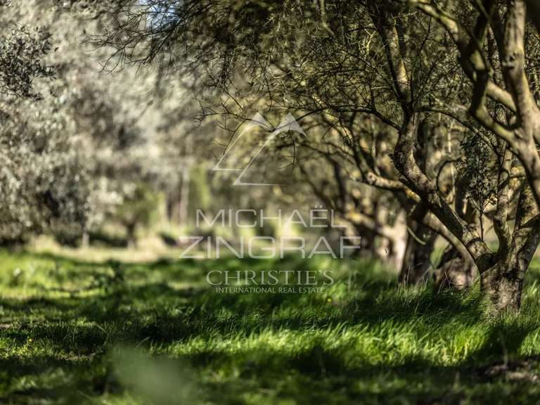 House Saint-Rémy-de-Provence - 4 bedrooms - 283m²