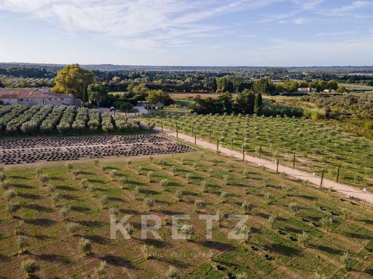 Maison Saint-Rémy-de-Provence - 9 chambres - 1368m²