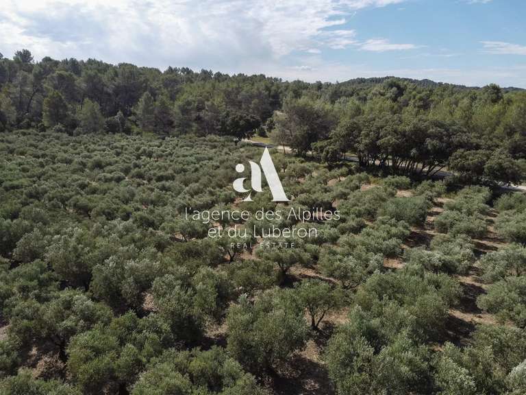 Maison Saint-Rémy-de-Provence - 7 chambres - 485m²