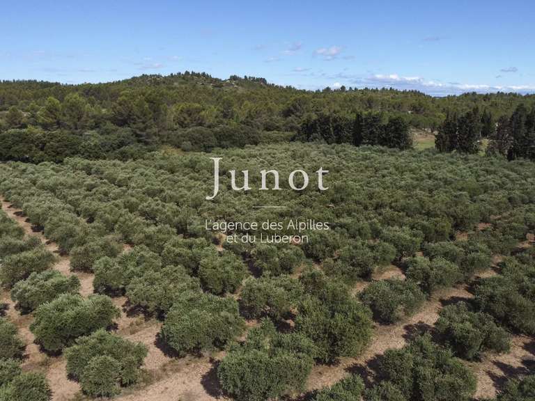 Maison Saint-Rémy-de-Provence - 7 chambres - 485m²