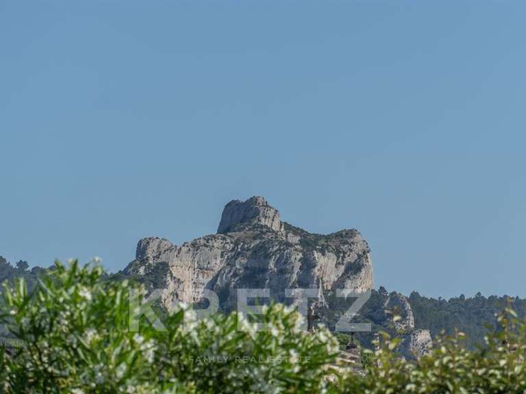 Maison Saint-Rémy-de-Provence - 4 chambres - 190m²