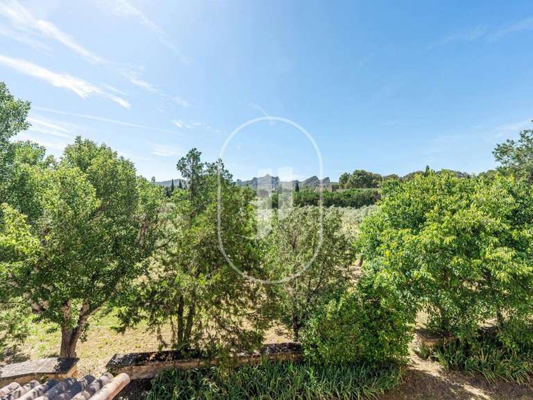 House Saint-Rémy-de-Provence - 4 bedrooms - 290m²
