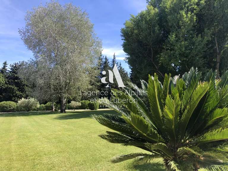 Maison Saint-Rémy-de-Provence - 5 chambres - 580m²