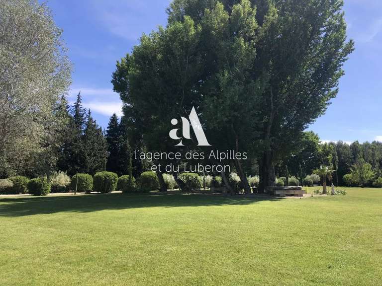 Maison Saint-Rémy-de-Provence - 5 chambres - 580m²