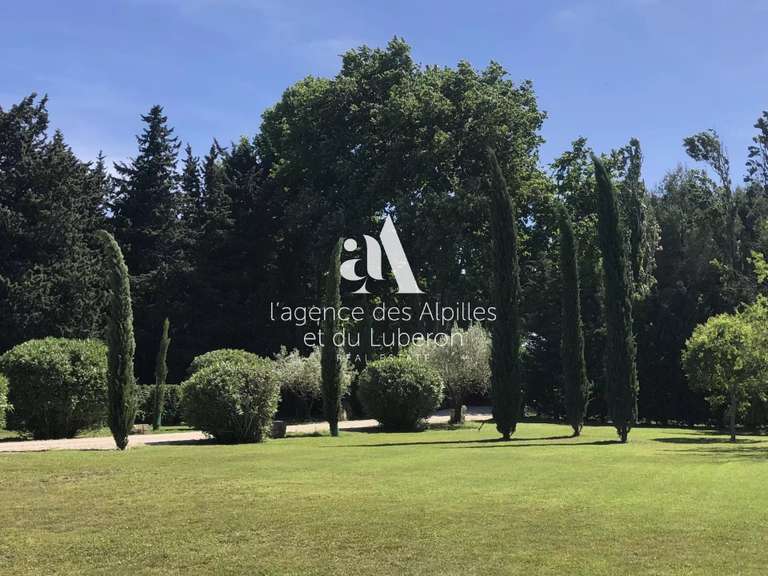 Maison Saint-Rémy-de-Provence - 5 chambres - 580m²