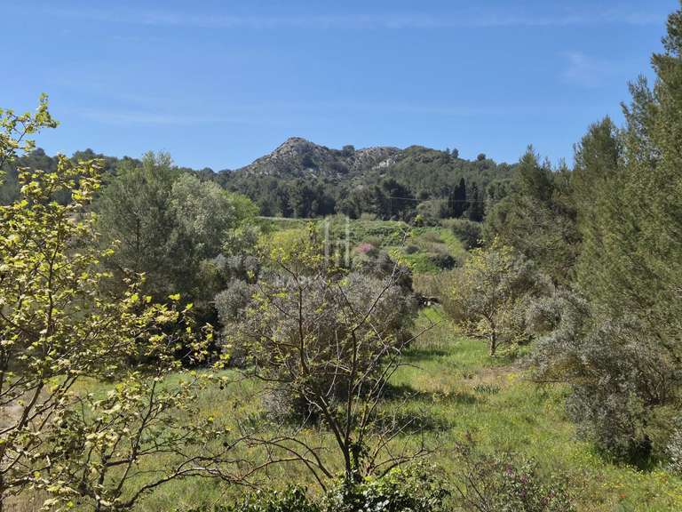 Maison Saint-Rémy-de-Provence - 4 chambres - 200m²
