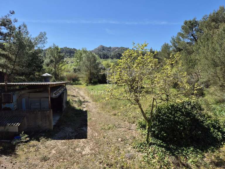 Maison Saint-Rémy-de-Provence - 4 chambres - 200m²