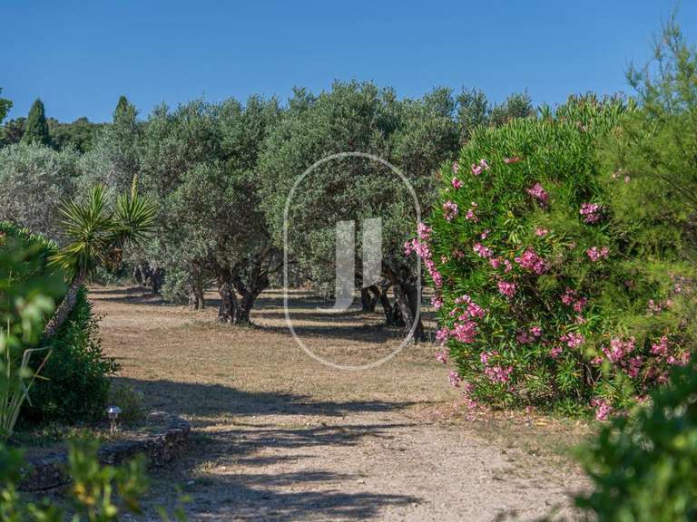 Maison Saint-Rémy-de-Provence - 4 chambres - 200m²