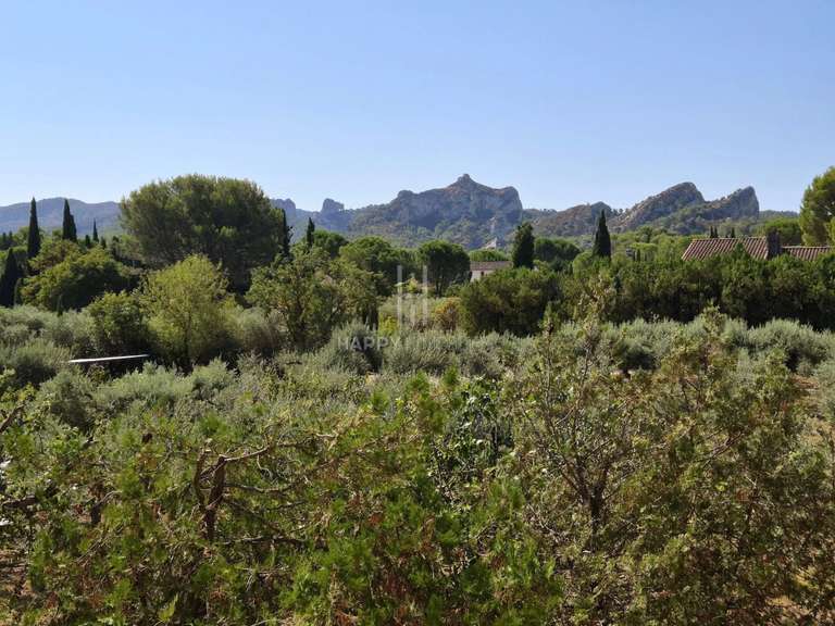 House Saint-Rémy-de-Provence - 4 bedrooms - 432m²