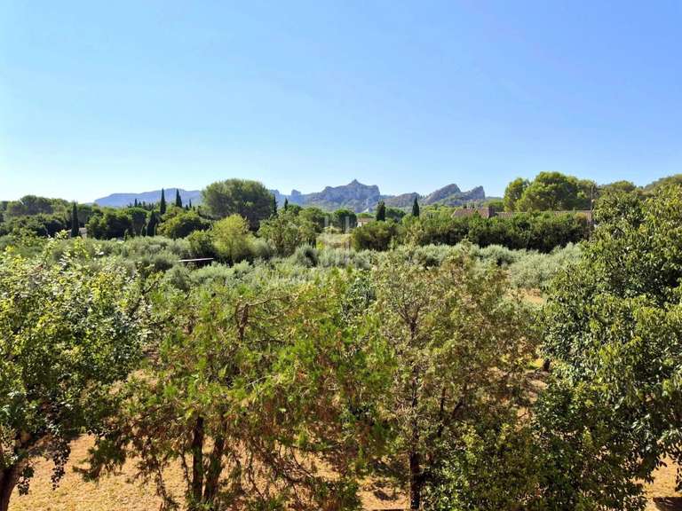 Maison Saint-Rémy-de-Provence - 4 chambres - 432m²