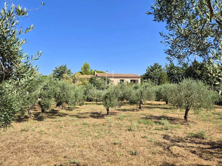 House Saint-Rémy-de-Provence - 4 bedrooms - 432m²