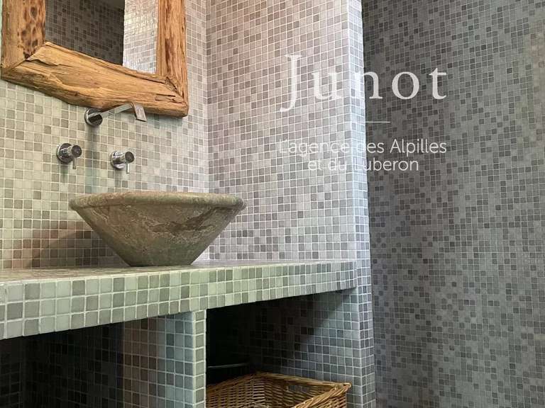 House Saint-Rémy-de-Provence - 5 bedrooms - 2000m²