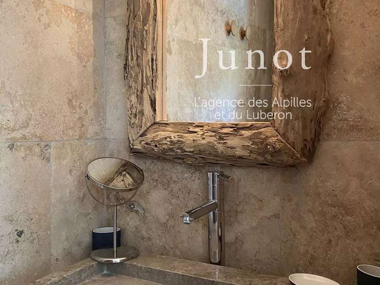 House Saint-Rémy-de-Provence - 5 bedrooms - 2000m²