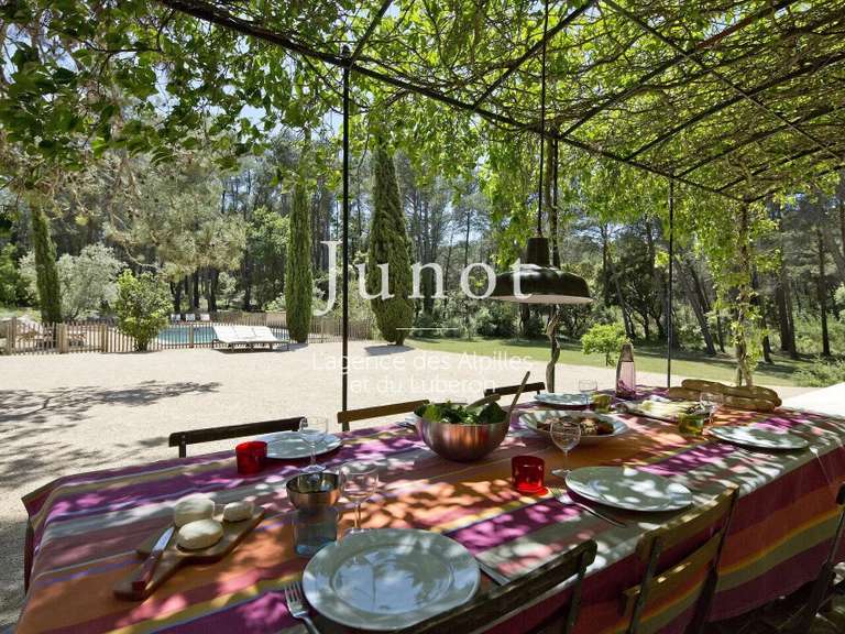 House Saint-Rémy-de-Provence - 5 bedrooms - 10000m²
