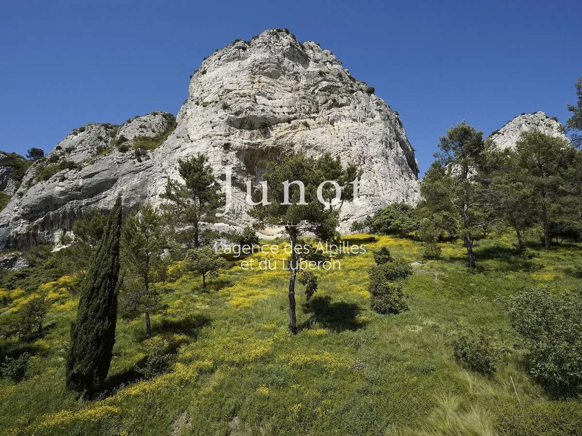 Maison Saint-Rémy-de-Provence