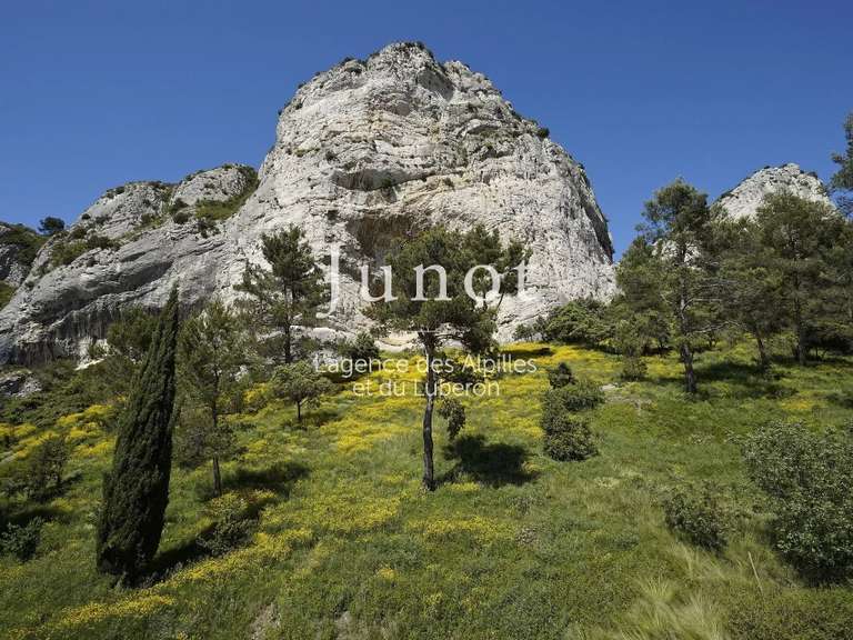 House Saint-Rémy-de-Provence - 5 bedrooms - 10000m²