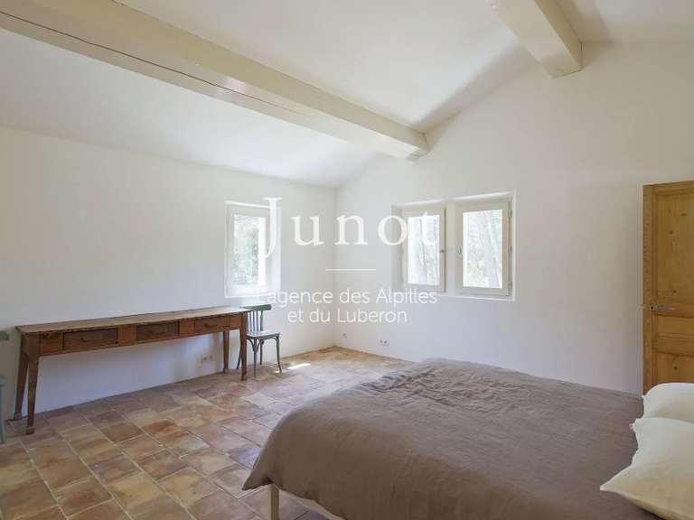 House Saint-Rémy-de-Provence - 5 bedrooms - 10000m²