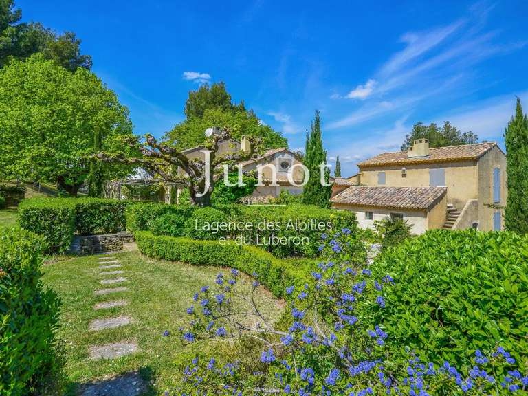 House Saint-Rémy-de-Provence - 5 bedrooms - 10000m²