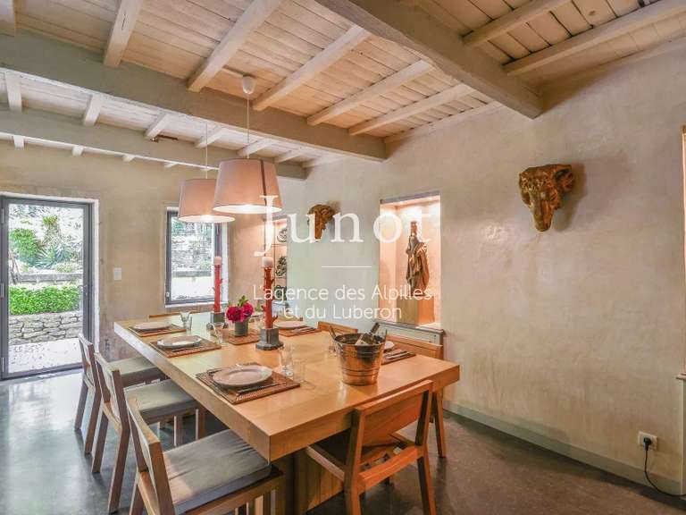 House Saint-Rémy-de-Provence - 5 bedrooms - 10000m²