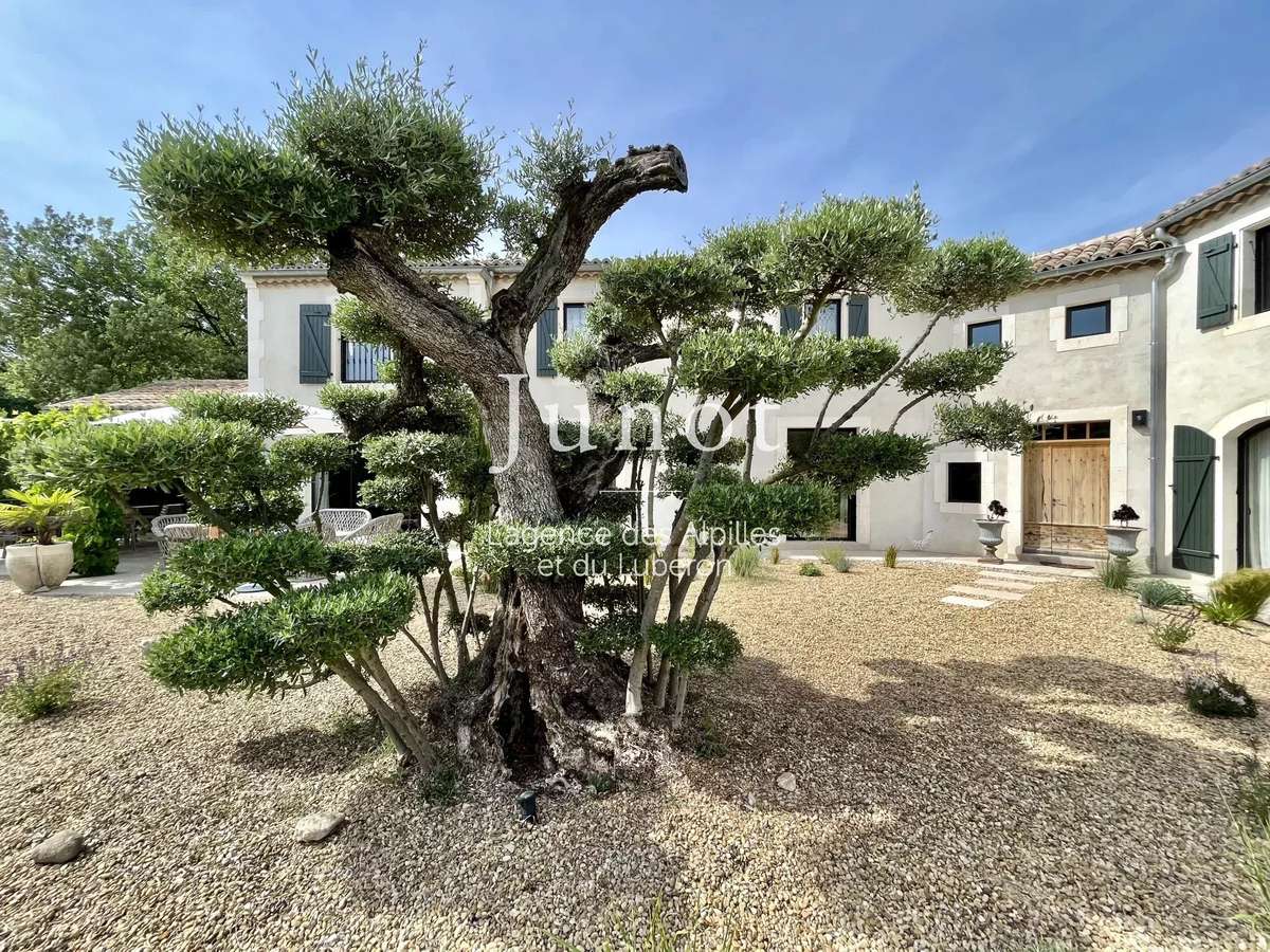 Maison Saint-Rémy-de-Provence