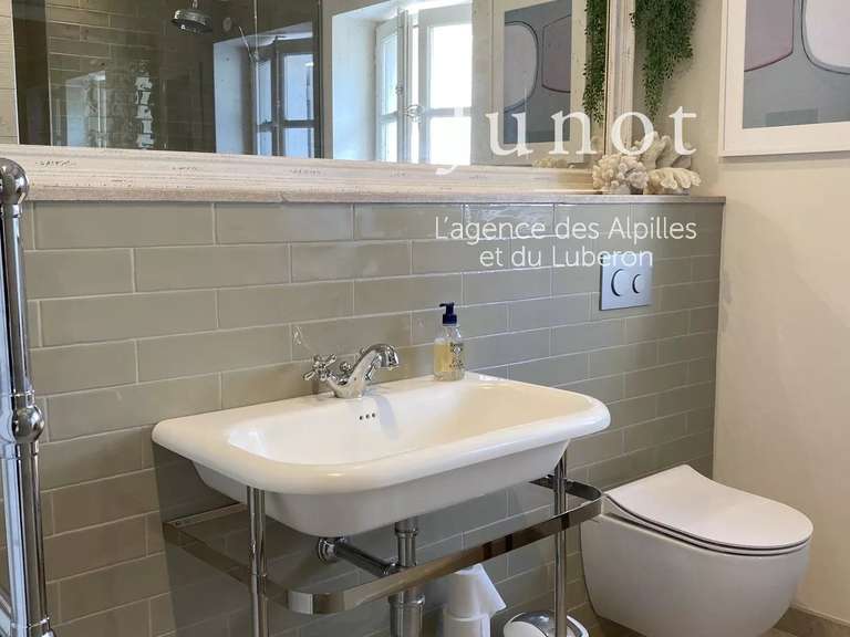 House Saint-Rémy-de-Provence - 5 bedrooms - 1000m²