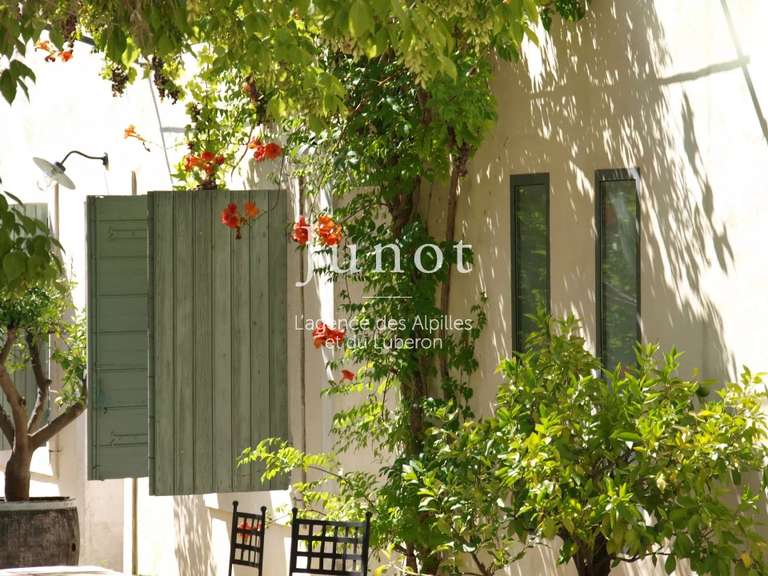 House Saint-Rémy-de-Provence - 6 bedrooms - 650m²